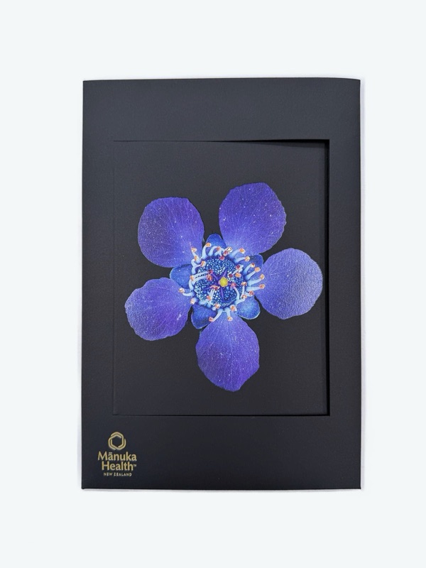 Full color flower on black packaging