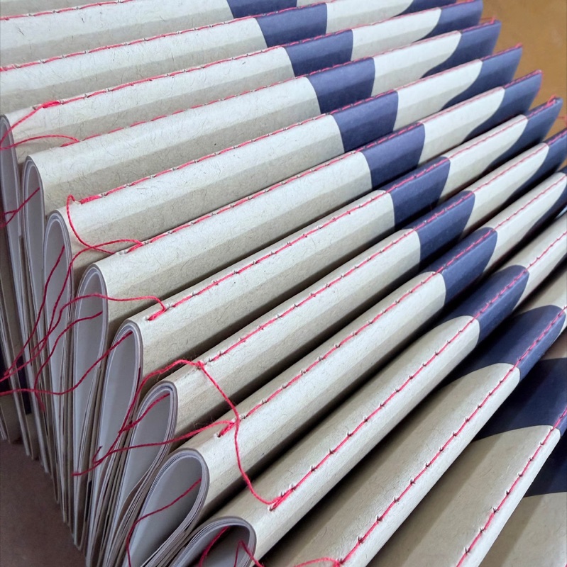 Singer sewn zines fanned out with red thread